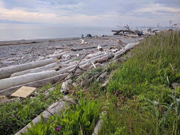 Point Roberts 1