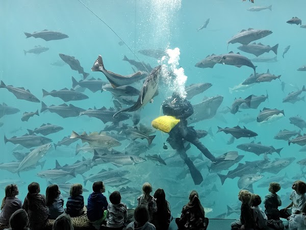 Atlantic Sea-Park 1