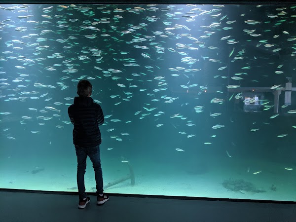 Atlantic Sea-Park 5