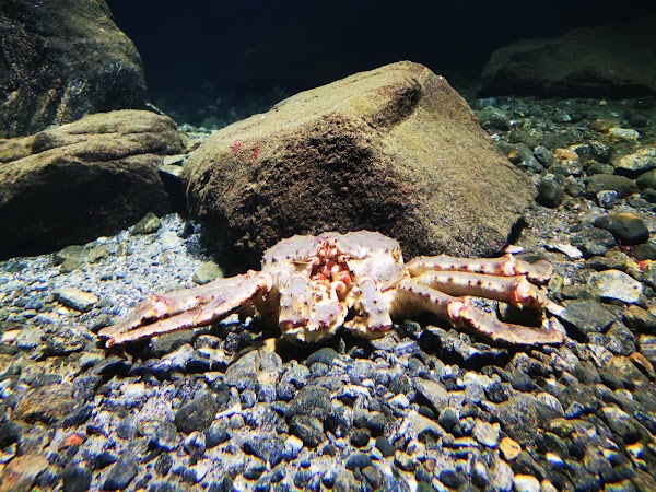 Atlantic Sea-Park 4