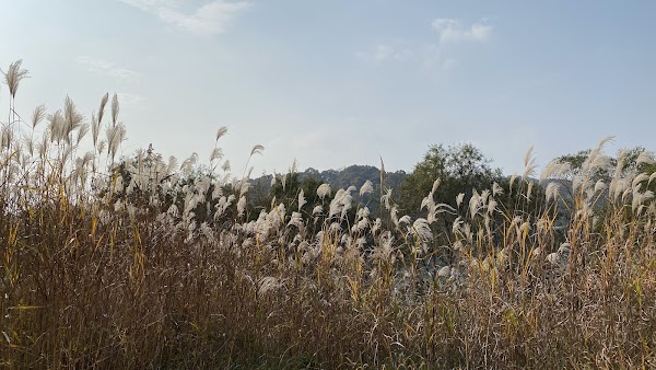 당남리섬