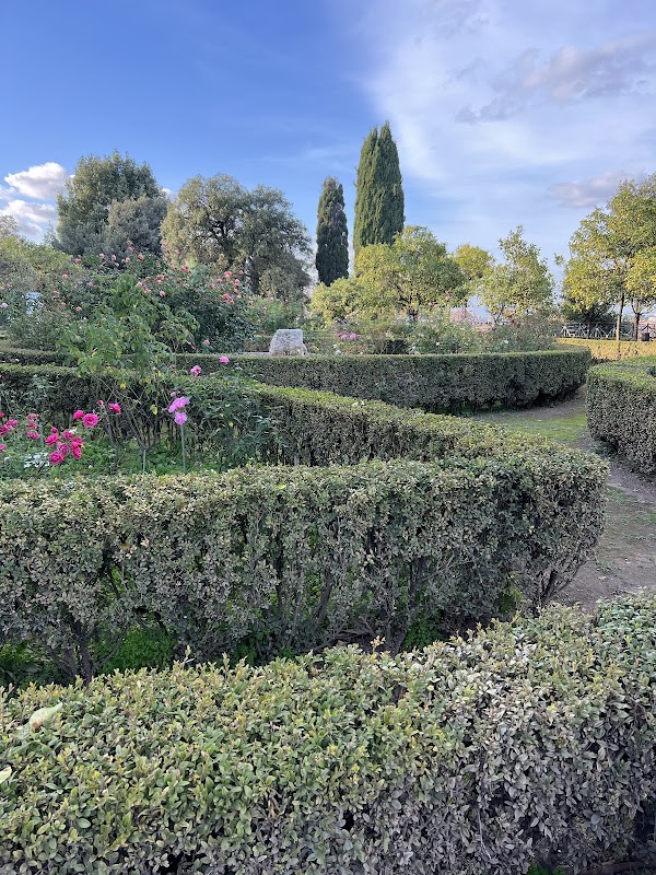 Terrazza Belvedere del Palatino 2