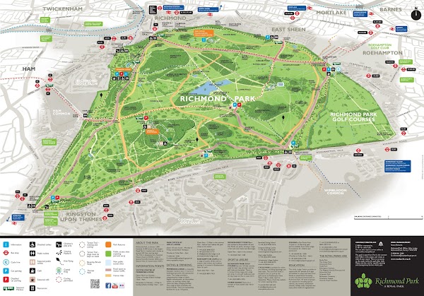 Richmond Park 3