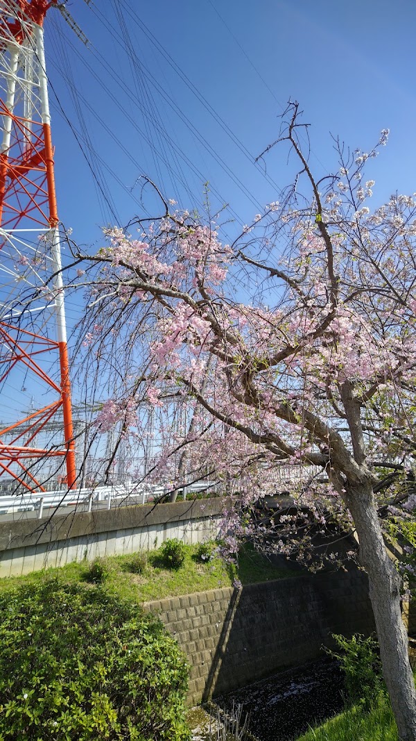 Hiratsuka 5