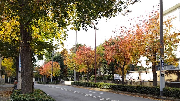 Hiratsuka 4