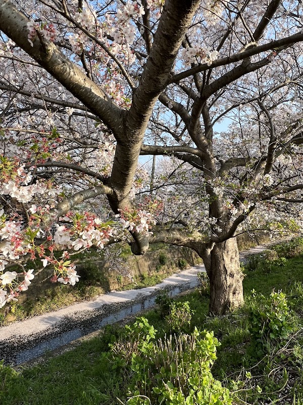 Hiratsuka 3