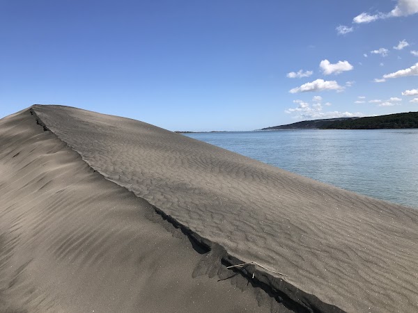 Port Waikato Sand Dunes 1