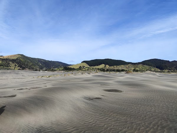 Port Waikato Sand Dunes 5