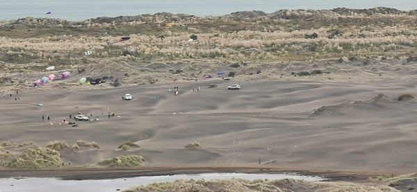 Port Waikato Sand Dunes 4