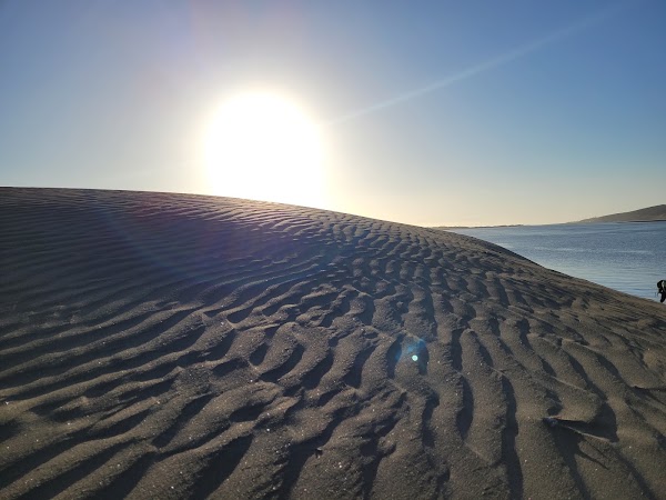 Port Waikato Sand Dunes 3