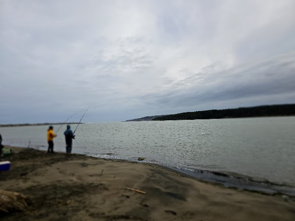 Port Waikato Sand Dunes 2
