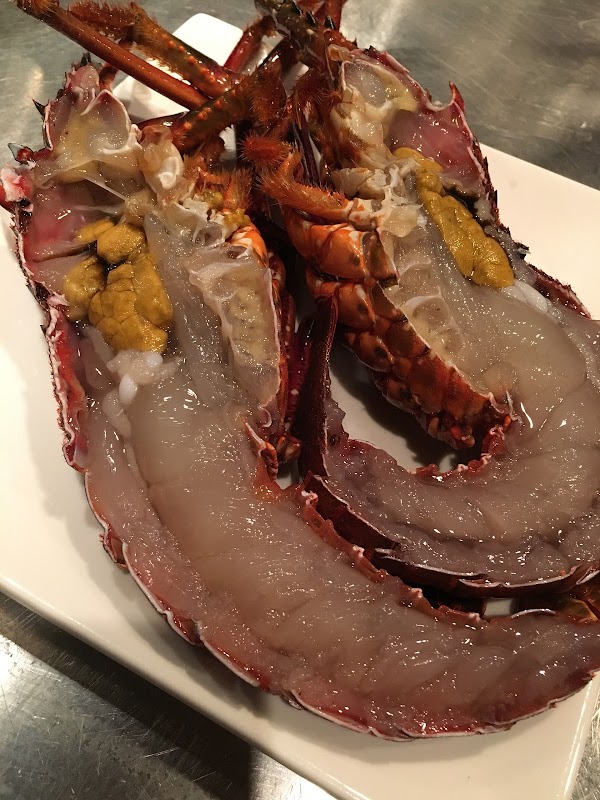 Nekoyanagi Steak House 1