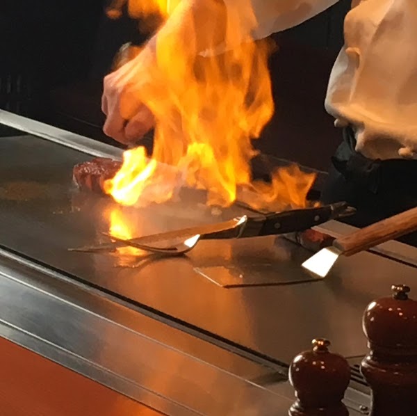 Nekoyanagi Steak House 5
