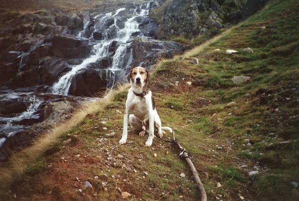 Langstrath Beck 1