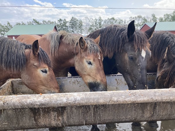 Banei Tokachi Ranch