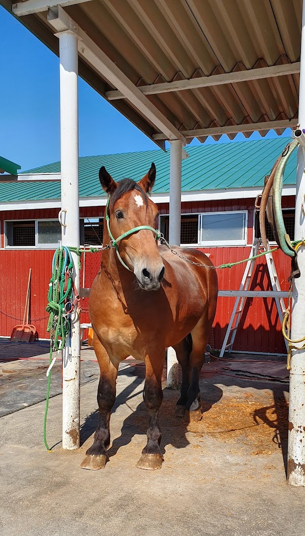 Banei Tokachi Ranch 3