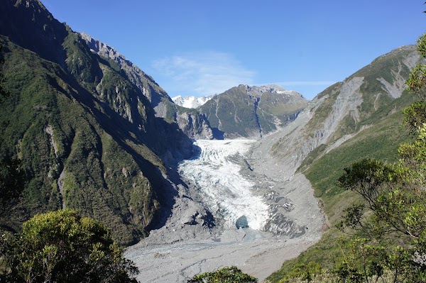 Fox Glacier 1