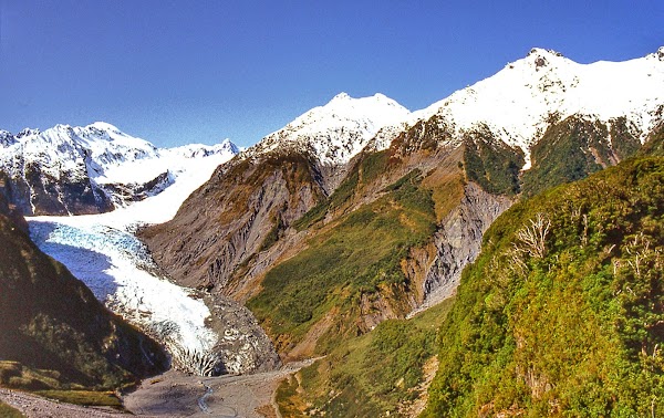 Fox Glacier 5