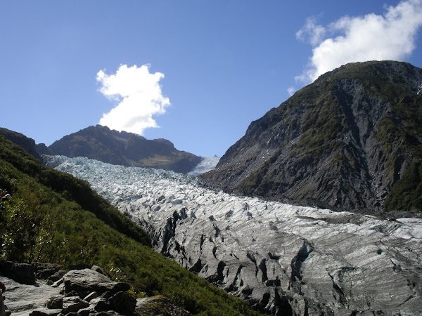 Fox Glacier 2