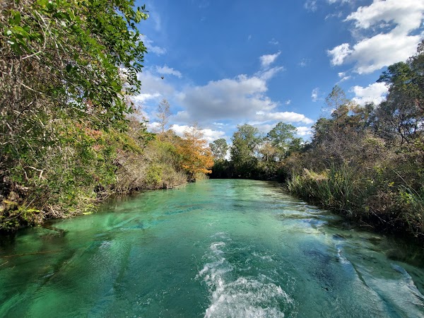 Weeki Wachee River