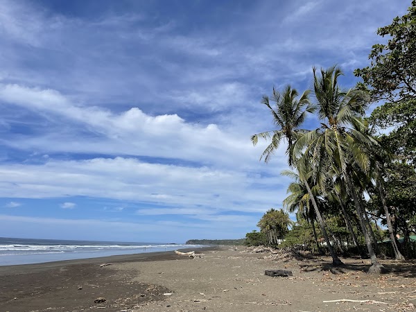 Playa del Ostional