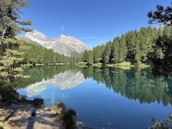 Lai da Palpuogna