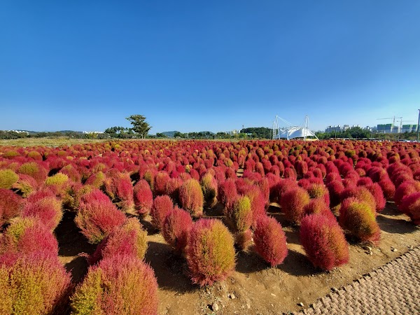 Gaetgol Ecological Park 6