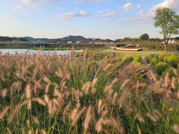 Gaetgol Ecological Park 5