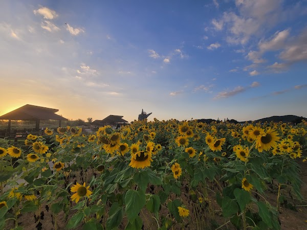 Gaetgol Ecological Park 4