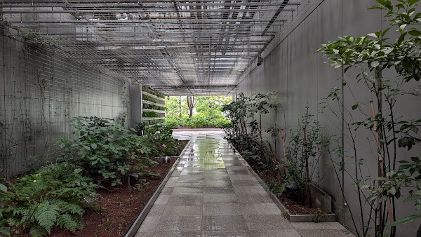 Ginza Six Rooftop Garden 3