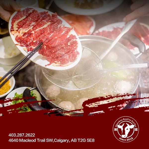 BeeFun Hot Pot 5