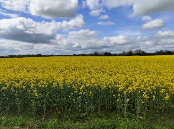 Boyne Valley to Lakelands County Greenway