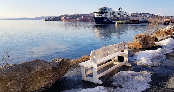 Narvik 5