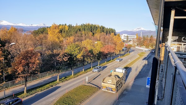 Narvik 4