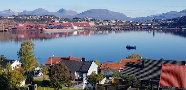 Narvik 2