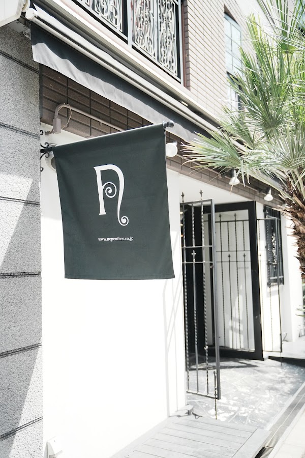 Nepenthes Osaka 4