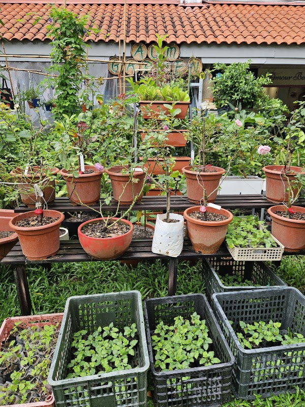 Aum Garden 1