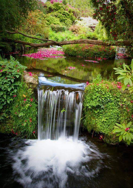 Dartmoor National Park 3