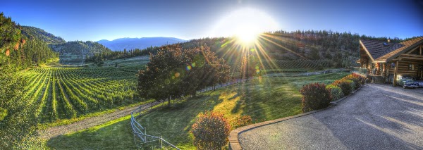 Nighthawk Vineyards