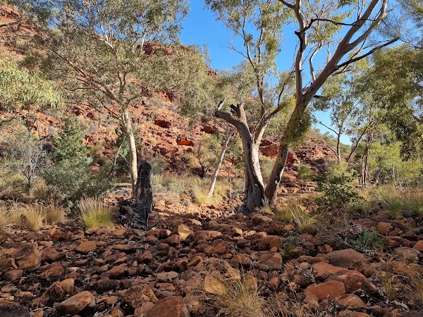 Kings Canyon Carpark 4