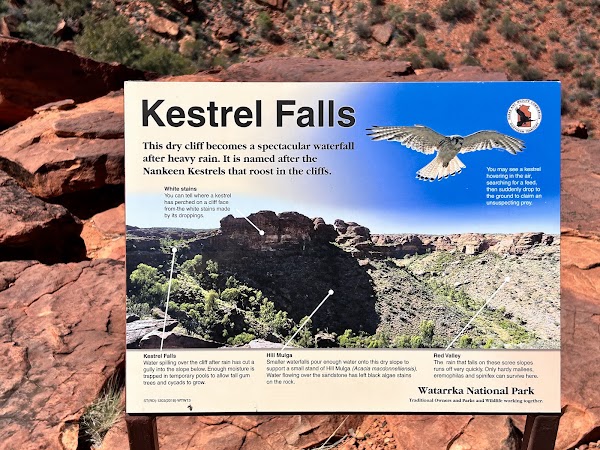 Kings Canyon Carpark 2