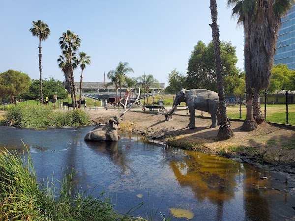 La Brea Tar Pits and Museum 5