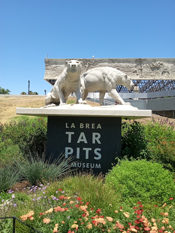 La Brea Tar Pits and Museum 3