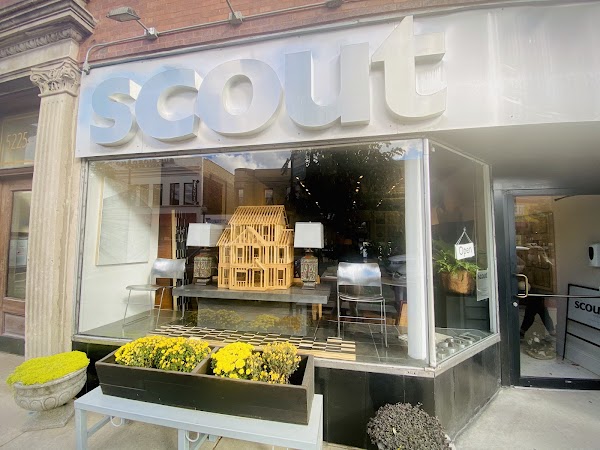 Scout