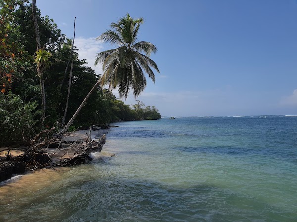 Bocas del Toro Province 5