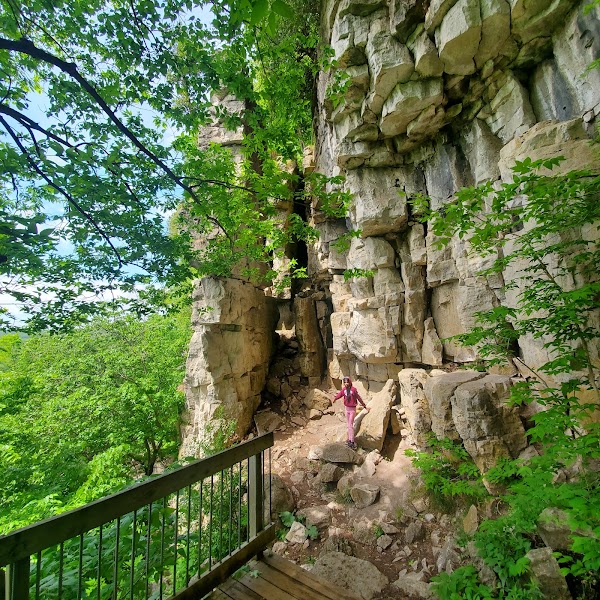 Rattlesnake Point Conservation Area (Reservations Required) 4