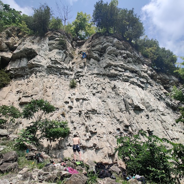 Rattlesnake Point Conservation Area (Reservations Required) 3