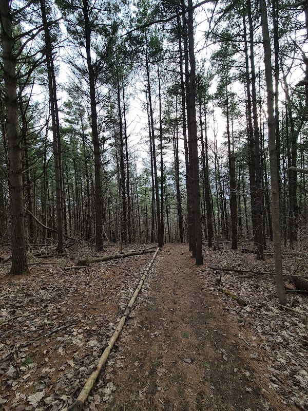 Rattlesnake Point Conservation Area (Reservations Required) 2