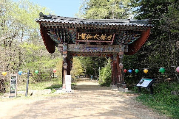 Woljeongsa Temple & Fir Tree Forest 1