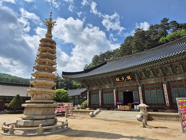 Woljeongsa Temple & Fir Tree Forest 5